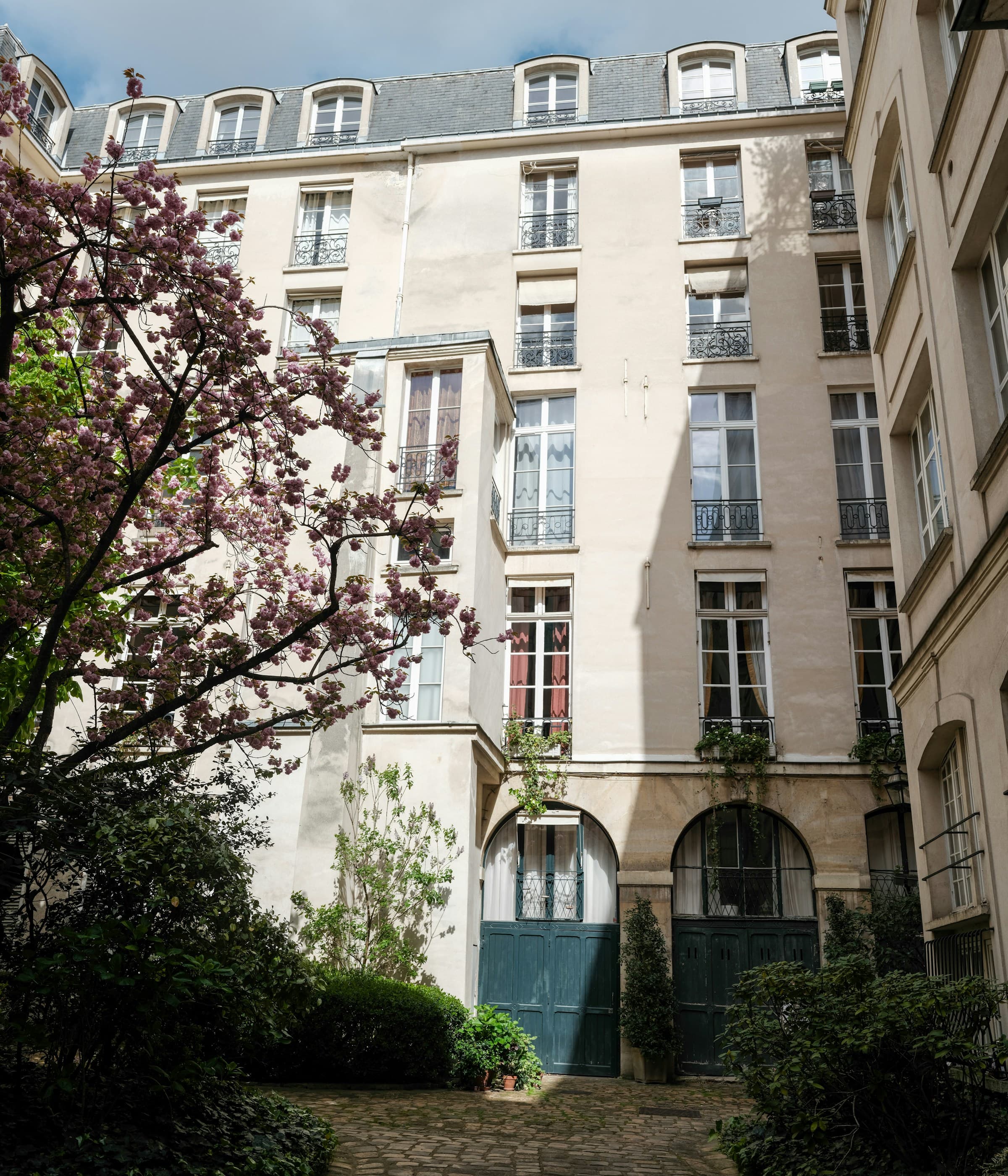 Cour intérieure d’un immeuble ancien avec un arbre en fleurs