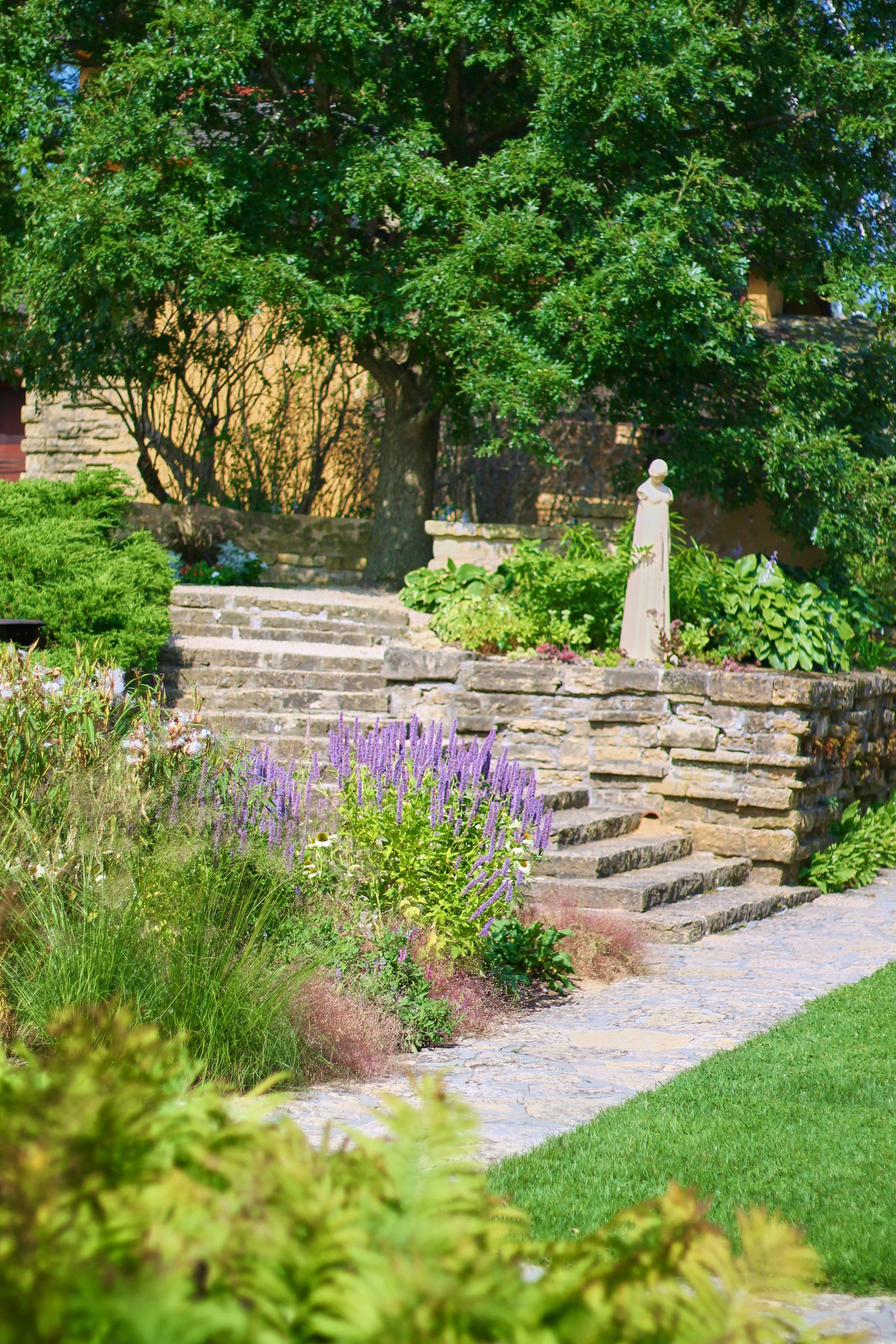 Escalier en pierre entre des murets, bordé de sauges, dans un jardin en pente à Lutry
