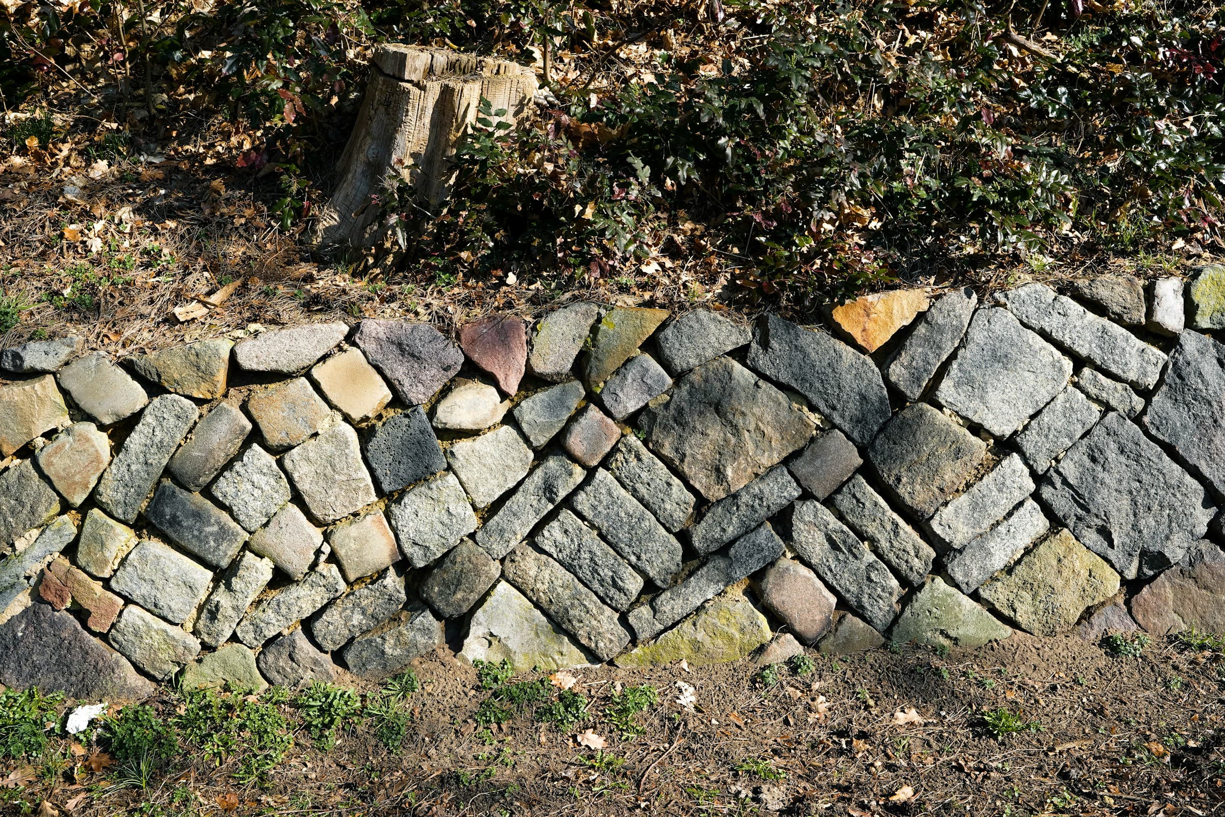 Mur de soutènement en pierres posées en épi sous un talus planté, à Villeneuve